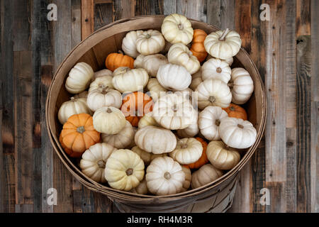 Di piccole dimensioni e di colore bianco mini zucche in un cestello di legno Foto Stock