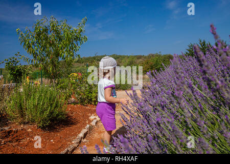 Carino bambina su un campo di lavanda. Boccola di lavanda fioritura in pieno contro il cielo blu. Coloratissime farfalle sul fiore fiori di lavanda. Foto Stock