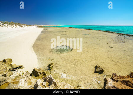 Selvaggia spiaggia di Cape Range national park in Australia occidentale Foto Stock