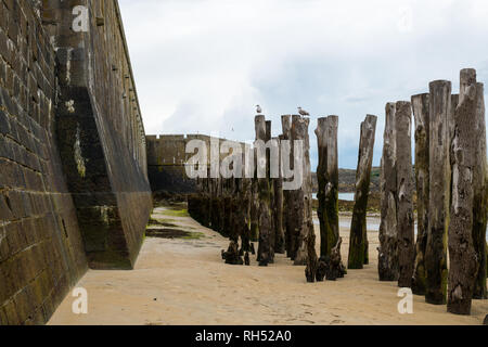 Parete e tronchi di alberi sulla spiaggia di Saint-malo (Brittany, Francia) ad alta marea in un giorno nuvoloso in estate Foto Stock