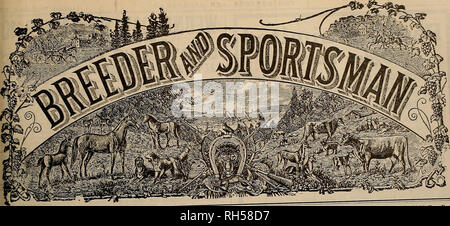 . Allevatore e sportivo. I cavalli. VOL. LXVII. No. 19 SAN FRANCISCO, Sabato, 6 novembre 1915. Abbonamento-$3.00 per anno s. Si prega di notare che queste immagini vengono estratte dalla pagina sottoposta a scansione di immagini che possono essere state migliorate digitalmente per la leggibilità - Colorazione e aspetto di queste illustrazioni potrebbero non perfettamente assomigliano al lavoro originale. San Francisco, California. : [S. n. ] Foto Stock