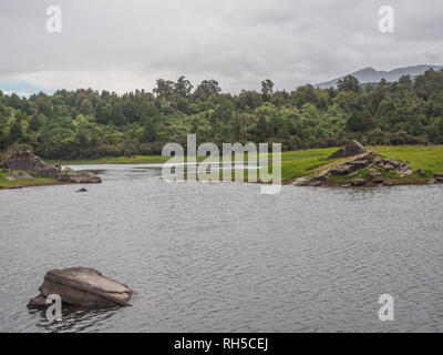 Effimero di zone umide in estate, bellissimo paesaggio tranquillo ambiente naturale, Lago Kiriopukae, Te Urewera National Park, North Island, Nuova Zelanda Foto Stock