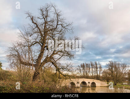 Paesaggio Wintery vicino a Milton Ferry ponte sopra il fiume Nene, Peterborough, CAMBRIDGESHIRE Foto Stock