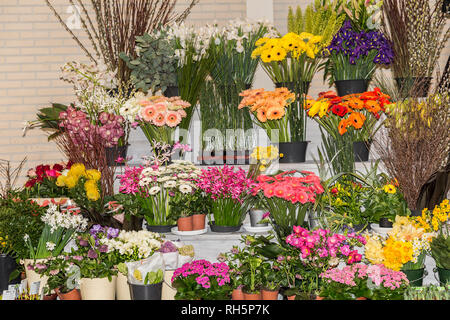 Bella combinazione di diversi fiori in ceramica e vasi di plastica in uno stand in Paesi Bassi Olanda Foto Stock