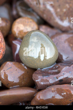 La riflessione di un 'Rock Hound' cercando agate lungo la spiaggia di Agata della riva settentrionale del lago Superior, Minnesota, Stati Uniti Foto Stock