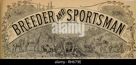 . Allevatore e sportivo. I cavalli. Vol. IV. No. 17. N° 60s ilONTGOSIERY Street. SAN FEANCISCO, sabato 26 aprile, 1884. Atletica leggera. Pro- Nemeo ExhibitionâA atletico ammenda grammo e un grande pubblico. Tho terza esposizione annuale di questo club toot luogo venerdì sera, aprile ISth, presso le camere club, XXI e Howard strade. Esso deve essere stato estremamente gratificante per i membri del club, e in particolare i colleghi che hanno lavorato così generosamente, a notare un così grande e enthu- siastic pubblico presente per testimoniare il loro impegno. Il pro- gramma aperto con raggruppamenti e piramide scale in wh Foto Stock