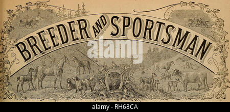 . Allevatore e sportivo. I cavalli. Vol. IV. No. 11. N° 508 MONTGOMERY STBEET SAN FRANCISCO, SABATO, MAR. 15, 1884. Si prega di notare che queste immagini vengono estratte dalla pagina sottoposta a scansione di immagini che possono essere state migliorate digitalmente per la leggibilità - Colorazione e aspetto di queste illustrazioni potrebbero non perfettamente assomigliano al lavoro originale. San Francisco, California. : [S. n. ] Foto Stock