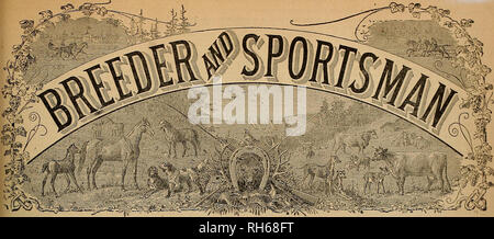 . Allevatore e sportivo. I cavalli. (4* VOL IV. No. 10. N° 508 MONTGOMERY STREET DI SAN FRANCISCO, SABATO, MAR. 8, 1884. Si prega di notare che queste immagini vengono estratte dalla pagina sottoposta a scansione di immagini che possono essere state migliorate digitalmente per la leggibilità - Colorazione e aspetto di queste illustrazioni potrebbero non perfettamente assomigliano al lavoro originale. San Francisco, California. : [S. n. ] Foto Stock