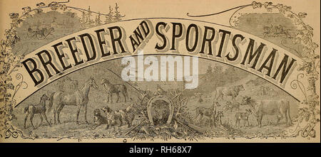 . Allevatore e sportivo. I cavalli. W^y^/ 5f=3=^s35ji=-W Vol. IV. No. 7. N° 508 MONTGOMERY STREET DI SAN FRANCISCO, SABATO, FEB. 16, 1884. Si prega di notare che queste immagini vengono estratte dalla pagina sottoposta a scansione di immagini che possono essere state migliorate digitalmente per la leggibilità - Colorazione e aspetto di queste illustrazioni potrebbero non perfettamente assomigliano al lavoro originale. San Francisco, California. : [S. n. ] Foto Stock