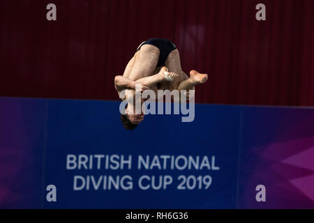 Plymouth, UK. Il 1° febbraio 2019. Nicolas Carcia Boissier - (ESP) in uomini Prelim durante il British National Diving Cup 2019 a Plymouth Life Centre su Venerdì, 01 febbraio 2019. PLYMOUTH in Inghilterra. (Solo uso editoriale, è richiesta una licenza per uso commerciale. Nessun uso in scommesse, giochi o un singolo giocatore/club/league pubblicazioni.) Credito: Taka G Wu/Alamy News Foto Stock