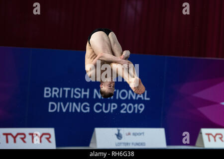 Plymouth, UK. Il 1° febbraio 2019. Henry Biggs - LD in uomini Prelim durante il British National Diving Cup 2019 a Plymouth Life Centre su Venerdì, 01 febbraio 2019. PLYMOUTH in Inghilterra. (Solo uso editoriale, è richiesta una licenza per uso commerciale. Nessun uso in scommesse, giochi o un singolo giocatore/club/league pubblicazioni.) Credito: Taka G Wu/Alamy News Foto Stock