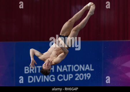 Plymouth, UK. Il 1° febbraio 2019. Nicolas Garcia Boissier - (SEP) in uomini Prelim durante il British National Diving Cup 2019 a Plymouth Life Centre su Venerdì, 01 febbraio 2019. PLYMOUTH in Inghilterra. (Solo uso editoriale, è richiesta una licenza per uso commerciale. Nessun uso in scommesse, giochi o un singolo giocatore/club/league pubblicazioni.) Credito: Taka G Wu/Alamy News Foto Stock