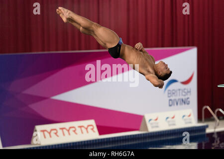 Plymouth, UK. Il 1° febbraio 2019. in uomini Prelim durante il British National Diving Cup 2019 a Plymouth Life Centre su Venerdì, 01 febbraio 2019. PLYMOUTH in Inghilterra. (Solo uso editoriale, è richiesta una licenza per uso commerciale. Nessun uso in scommesse, giochi o un singolo giocatore/club/league pubblicazioni.) Credito: Taka G Wu/Alamy News Foto Stock