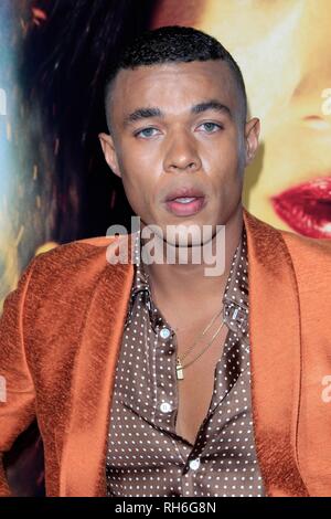 Los Angeles, CA, Stati Uniti d'America. 30 gen, 2019. Ismael Cruz Cordova presso gli arrivi di MISS BALA Premiere, Regal LA LIVE, Los Angeles, CA il 30 gennaio 2019. Credito: Priscilla concedere/Everett raccolta/Alamy Live News Foto Stock
