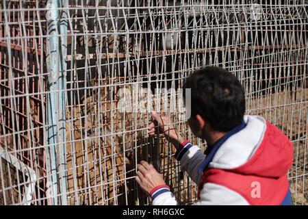 Rafah nella striscia di Gaza, la Palestina. 30 gen, 2019. Rafah city zoo sud della striscia di Gaza. Credito: Hassan Jedi/Quds Net News/ZUMA filo/Alamy Live News Foto Stock