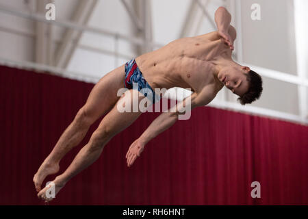 Plymouth, UK. Il 1° febbraio 2019. Anthony Harding - a freddo in uomini 1M durante la finale nazionale britannico di Diving Cup 2019 a Plymouth Life Centre su Venerdì, 01 febbraio 2019. PLYMOUTH in Inghilterra. (Solo uso editoriale, è richiesta una licenza per uso commerciale. Nessun uso in scommesse, giochi o un singolo giocatore/club/league pubblicazioni.) Credito: Taka G Wu/Alamy News Foto Stock