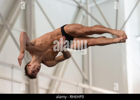 Plymouth, UK. Il 1° febbraio 2019. Ross Haslam - COSD in uomini 1M durante la finale nazionale britannico di Diving Cup 2019 a Plymouth Life Centre su Venerdì, 01 febbraio 2019. PLYMOUTH in Inghilterra. (Solo uso editoriale, è richiesta una licenza per uso commerciale. Nessun uso in scommesse, giochi o un singolo giocatore/club/league pubblicazioni.) Credito: Taka G Wu/Alamy News Foto Stock