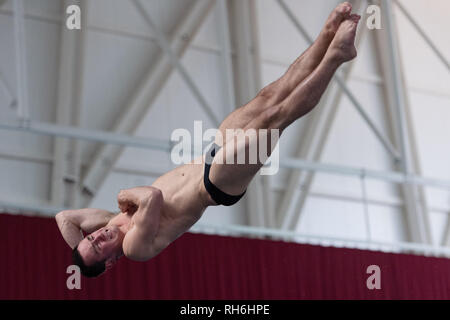 Plymouth, UK. Il 1° febbraio 2019. Oliver Crompton - a freddo in uomini 1M durante la finale nazionale britannico di Diving Cup 2019 a Plymouth Life Centre su Venerdì, 01 febbraio 2019. PLYMOUTH in Inghilterra. (Solo uso editoriale, è richiesta una licenza per uso commerciale. Nessun uso in scommesse, giochi o un singolo giocatore/club/league pubblicazioni.) Credito: Taka G Wu/Alamy News Foto Stock