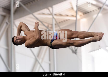 Plymouth, UK. Il 1° febbraio 2019. La Giordania Houlden - COSD in uomini 1M durante la finale nazionale britannico di Diving Cup 2019 a Plymouth Life Centre su Venerdì, 01 febbraio 2019. PLYMOUTH in Inghilterra. (Solo uso editoriale, è richiesta una licenza per uso commerciale. Nessun uso in scommesse, giochi o un singolo giocatore/club/league pubblicazioni.) Credito: Taka G Wu/Alamy News Foto Stock