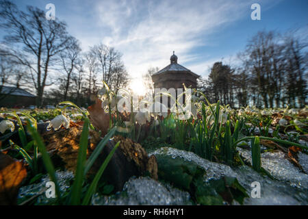 Lytham, Lancashire, Regno Unito. Il 1° febbraio 2019. Meteo news. Come molte parti del Regno Unito sono sotto la neve e il ghiaccio è una bella giornata inverni sulla costa di Fylde e il bucaneve sono in vigore a Lytham hall, nel Lancashire. Credito: Gary Telford/Alamy Live News Foto Stock