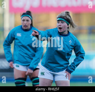 Energia Park, Dublin, Irlanda. Il 1° febbraio 2019. Womens Sei Nazioni di rugby, Irlanda contro l'Inghilterra; Nichola Fryday dell'Irlanda si riscalda prima di credito kickoff: Azione Plus sport/Alamy Live News Foto Stock