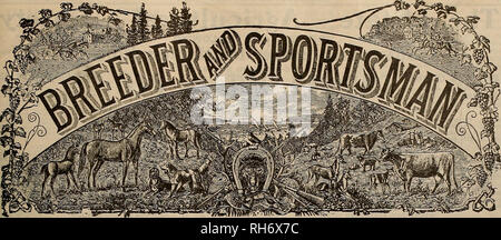 . Allevatore e sportivo. I cavalli. VOLUME LXIV. No. 20 SAN FRANCISCO, sabato 16 maggio, 1914. Abbonamento-J3.00 per anno. Si prega di notare che queste immagini vengono estratte dalla pagina sottoposta a scansione di immagini che possono essere state migliorate digitalmente per la leggibilità - Colorazione e aspetto di queste illustrazioni potrebbero non perfettamente assomigliano al lavoro originale. San Francisco, California. : [S. n. ] Foto Stock