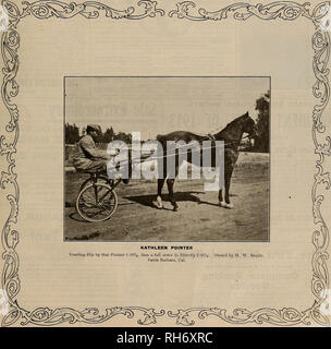 . Allevatore e sportivo. I cavalli. VOLUME LVII. No. 24. SAN FRANCISCO, Sabato, Dicembre 17, 1910. Abbonamento-?3,00 a strappo.. Si prega di notare che queste immagini vengono estratte dalla pagina sottoposta a scansione di immagini che possono essere state migliorate digitalmente per la leggibilità - Colorazione e aspetto di queste illustrazioni potrebbero non perfettamente assomigliano al lavoro originale. San Francisco, California. : [S. n. ] Foto Stock