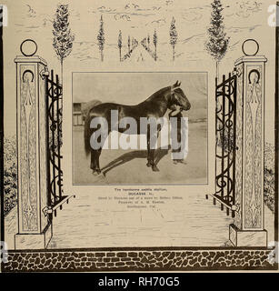 . Allevatore e sportivo. I cavalli. VOLUME LXIV. Xo. 14. SAX FRANCISCO. Sabato, 4 aprile 1914. Abbonamento-$3.00 per anno. Si prega di notare che queste immagini vengono estratte dalla pagina sottoposta a scansione di immagini che possono essere state migliorate digitalmente per la leggibilità - Colorazione e aspetto di queste illustrazioni potrebbero non perfettamente assomigliano al lavoro originale. San Francisco, California. : [S. n. ] Foto Stock