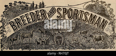 . Allevatore e sportivo. I cavalli. VOLUME LIX. No. 23. SAN FRANCISCO, Sabato, 2 dicembre 1911. Abbonamento-?3.00 Per Yeai. Si prega di notare che queste immagini vengono estratte dalla pagina sottoposta a scansione di immagini che possono essere state migliorate digitalmente per la leggibilità - Colorazione e aspetto di queste illustrazioni potrebbero non perfettamente assomigliano al lavoro originale. San Francisco, California. : [S. n. ] Foto Stock