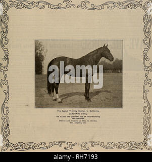 . Allevatore e sportivo. I cavalli. VOLUME LXIV. No. 12. SAN FRANCISCO, sabato 21 marzo, 1914. Abbonamento-?3,00 a strappo. Si prega di notare che queste immagini vengono estratte dalla pagina sottoposta a scansione di immagini che possono essere state migliorate digitalmente per la leggibilità - Colorazione e aspetto di queste illustrazioni potrebbero non perfettamente assomigliano al lavoro originale. San Francisco, California. : [S. n. ] Foto Stock