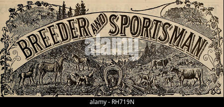 . Allevatore e sportivo. I cavalli. VOLUME LXIV. No. 12. SAN FRANCISCO, sabato 21 marzo, 1914. Abbonamento-?3,00 a strappo. Si prega di notare che queste immagini vengono estratte dalla pagina sottoposta a scansione di immagini che possono essere state migliorate digitalmente per la leggibilità - Colorazione e aspetto di queste illustrazioni potrebbero non perfettamente assomigliano al lavoro originale. San Francisco, California. : [S. n. ] Foto Stock