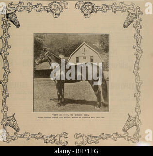 . Allevatore e sportivo. I cavalli. VOLUME LI. No. 24. Sabato, 14 dicembre 1907. Abbonamento-$3.00 per anno. Si prega di notare che queste immagini vengono estratte dalla pagina sottoposta a scansione di immagini che possono essere state migliorate digitalmente per la leggibilità - Colorazione e aspetto di queste illustrazioni potrebbero non perfettamente assomigliano al lavoro originale. San Francisco, California. : [S. n. ] Foto Stock