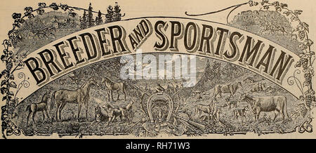 . Allevatore e sportivo. I cavalli. VOLUME LI. No. 24. Sabato, 14 dicembre 1907. Abbonamento-$3.00 per anno. Si prega di notare che queste immagini vengono estratte dalla pagina sottoposta a scansione di immagini che possono essere state migliorate digitalmente per la leggibilità - Colorazione e aspetto di queste illustrazioni potrebbero non perfettamente assomigliano al lavoro originale. San Francisco, California. : [S. n. ] Foto Stock