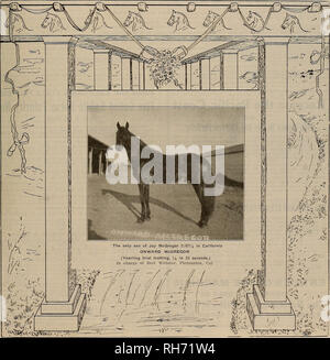 . Allevatore e sportivo. I cavalli. VOLUME LXIV. No. 10. SAN FRANCISCO, sabato 7 marzo. 1914. Abbonamento-$3.00 per anno. Si prega di notare che queste immagini vengono estratte dalla pagina sottoposta a scansione di immagini che possono essere state migliorate digitalmente per la leggibilità - Colorazione e aspetto di queste illustrazioni potrebbero non perfettamente assomigliano al lavoro originale. San Francisco, California. : [S. n. ] Foto Stock