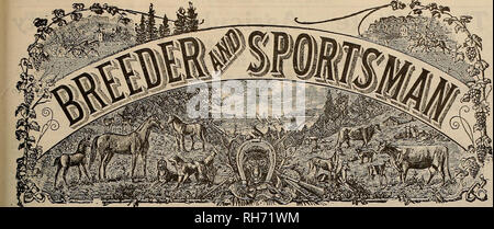 . Allevatore e sportivo. I cavalli. VOLUME LXIV. No. 10. SAN FRANCISCO, sabato 7 marzo. 1914. Abbonamento-$3.00 per anno. Si prega di notare che queste immagini vengono estratte dalla pagina sottoposta a scansione di immagini che possono essere state migliorate digitalmente per la leggibilità - Colorazione e aspetto di queste illustrazioni potrebbero non perfettamente assomigliano al lavoro originale. San Francisco, California. : [S. n. ] Foto Stock