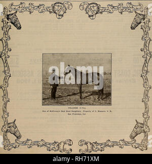 . Allevatore e sportivo. I cavalli. VOLUME LII. No. 11 Sabato, 14 marzo, 190S. Abbonamento-?3,00 a strappo. Si prega di notare che queste immagini vengono estratte dalla pagina sottoposta a scansione di immagini che possono essere state migliorate digitalmente per la leggibilità - Colorazione e aspetto di queste illustrazioni potrebbero non perfettamente assomigliano al lavoro originale. San Francisco, California. : [S. n. ] Foto Stock