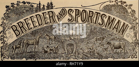 . Allevatore e sportivo. I cavalli. VOLUME LII. No. 11 Sabato, 14 marzo, 190S. Abbonamento-?3,00 a strappo. Si prega di notare che queste immagini vengono estratte dalla pagina sottoposta a scansione di immagini che possono essere state migliorate digitalmente per la leggibilità - Colorazione e aspetto di queste illustrazioni potrebbero non perfettamente assomigliano al lavoro originale. San Francisco, California. : [S. n. ] Foto Stock