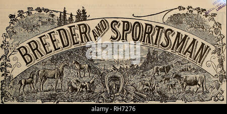 . Allevatore e sportivo. I cavalli. VOLUME LXIV. No. 9. SAN FRANCISCO, sabato 28 febbraio, 1914. Abbonamento-53.00 all'anno. Si prega di notare che queste immagini vengono estratte dalla pagina sottoposta a scansione di immagini che possono essere state migliorate digitalmente per la leggibilità - Colorazione e aspetto di queste illustrazioni potrebbero non perfettamente assomigliano al lavoro originale. San Francisco, California. : [S. n. ] Foto Stock