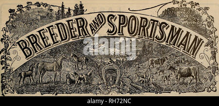 . Allevatore e sportivo. I cavalli. VOLUME LVIII. No. 10. SAN FRANCISCO, Sabato, 11 marzo 1911. Abbonamento-$3.00 per anno.. Si prega di notare che queste immagini vengono estratte dalla pagina sottoposta a scansione di immagini che possono essere state migliorate digitalmente per la leggibilità - Colorazione e aspetto di queste illustrazioni potrebbero non perfettamente assomigliano al lavoro originale. San Francisco, California. : [S. n. ] Foto Stock