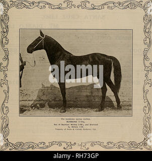 . Allevatore e sportivo. I cavalli. VOLUME LXIV. No. 5. SAN FRANCISCO, sabato 31 gennaio, 1914. Abbonamento-$3.00 per anno. Si prega di notare che queste immagini vengono estratte dalla pagina sottoposta a scansione di immagini che possono essere state migliorate digitalmente per la leggibilità - Colorazione e aspetto di queste illustrazioni potrebbero non perfettamente assomigliano al lavoro originale. San Francisco, California. : [S. n. ] Foto Stock