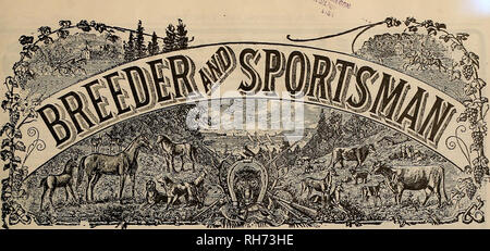 . Allevatore e sportivo. I cavalli. VOLUME LXIV. No. 5. SAN FRANCISCO, sabato 31 gennaio, 1914. Abbonamento-$3.00 per anno. Si prega di notare che queste immagini vengono estratte dalla pagina sottoposta a scansione di immagini che possono essere state migliorate digitalmente per la leggibilità - Colorazione e aspetto di queste illustrazioni potrebbero non perfettamente assomigliano al lavoro originale. San Francisco, California. : [S. n. ] Foto Stock