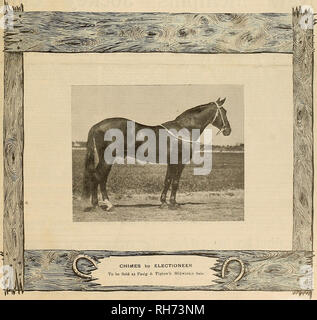 . Allevatore e sportivo. I cavalli. VOL.. XL.V. No. 25. 36 Geary Street. SAN FRANCISCO, sabato 17 dicembre, 1904. Abbonamento tre dollari una lacrima. Si prega di notare che queste immagini vengono estratte dalla pagina sottoposta a scansione di immagini che possono essere state migliorate digitalmente per la leggibilità - Colorazione e aspetto di queste illustrazioni potrebbero non perfettamente assomigliano al lavoro originale. San Francisco, California. : [S. n. ] Foto Stock