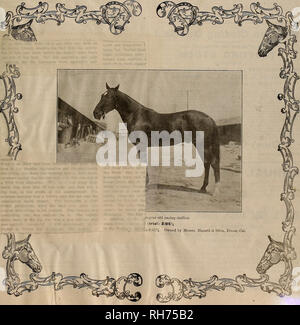 . Allevatore e sportivo. I cavalli. VOLUME LIX. No. 11. SAN FRANCISCO, sabato 9 settembre, 1911. Abbonamento-$3.00 per anno.. Si prega di notare che queste immagini vengono estratte dalla pagina sottoposta a scansione di immagini che possono essere state migliorate digitalmente per la leggibilità - Colorazione e aspetto di queste illustrazioni potrebbero non perfettamente assomigliano al lavoro originale. San Francisco, California. : [S. n. ] Foto Stock