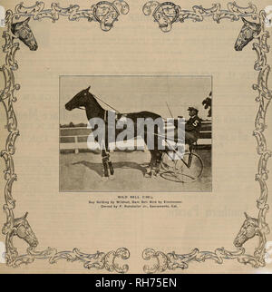 . Allevatore e sportivo. I cavalli. VOLUME LI. No. 34. Sabato. Ottobre 5. 1907. Abbonamento-?3,00 all'anno. Si prega di notare che queste immagini vengono estratte dalla pagina sottoposta a scansione di immagini che possono essere state migliorate digitalmente per la leggibilità - Colorazione e aspetto di queste illustrazioni potrebbero non perfettamente assomigliano al lavoro originale. San Francisco, California. : [S. n. ] Foto Stock
