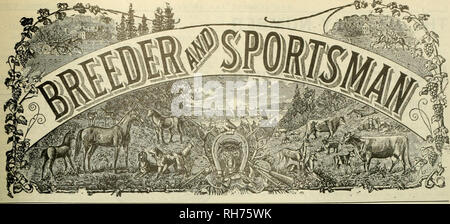 . Allevatore e sportivo. I cavalli. VOLUME XLIX. No. 20. Sabato. Dicembre 8. 1906. Abbonamento $3.00 un anno.. Si prega di notare che queste immagini vengono estratte dalla pagina sottoposta a scansione di immagini che possono essere state migliorate digitalmente per la leggibilità - Colorazione e aspetto di queste illustrazioni potrebbero non perfettamente assomigliano al lavoro originale. San Francisco, California. : [S. n. ] Foto Stock