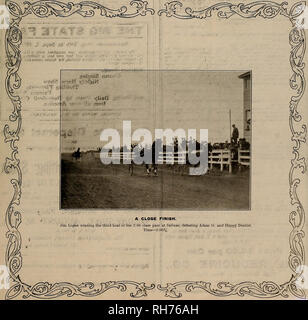 . Allevatore e sportivo. I cavalli. VOLUME LIX. No. 8. SAN FRANeiSGO, sabato. Agosto 19, 1911. Abbonamento-$3.00 per strappo.. Si prega di notare che queste immagini vengono estratte dalla pagina sottoposta a scansione di immagini che possono essere state migliorate digitalmente per la leggibilità - Colorazione e aspetto di queste illustrazioni potrebbero non perfettamente assomigliano al lavoro originale. San Francisco, California. : [S. n. ] Foto Stock