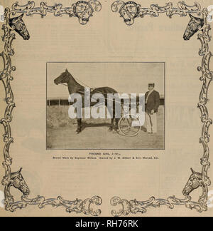 . Allevatore e sportivo. I cavalli. VOLUME LI. No. 11. Sabato. Settembre 14, 1907. Abbonamento-$3.00 per anno. Si prega di notare che queste immagini vengono estratte dalla pagina sottoposta a scansione di immagini che possono essere state migliorate digitalmente per la leggibilità - Colorazione e aspetto di queste illustrazioni potrebbero non perfettamente assomigliano al lavoro originale. San Francisco, California. : [S. n. ] Foto Stock