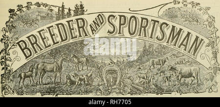 . Allevatore e sportivo. I cavalli. VOLUME XLIX. No. 16. ©• c; ©- sabato. Novembre 10. 1906.. Si prega di notare che queste immagini vengono estratte dalla pagina sottoposta a scansione di immagini che possono essere state migliorate digitalmente per la leggibilità - Colorazione e aspetto di queste illustrazioni potrebbero non perfettamente assomigliano al lavoro originale. San Francisco, California. : [S. n. ] Foto Stock