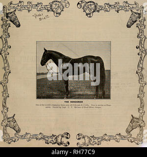 . Allevatore e sportivo. I cavalli. VOLUME LVIII. No. 1. 147852 SAN FRANCISCO, Sabato, 7 gennaio 1911. Abbonamento-$3.00 per anno.. Si prega di notare che queste immagini vengono estratte dalla pagina sottoposta a scansione di immagini che possono essere state migliorate digitalmente per la leggibilità - Colorazione e aspetto di queste illustrazioni potrebbero non perfettamente assomigliano al lavoro originale. San Francisco, California. : [S. n. ] Foto Stock