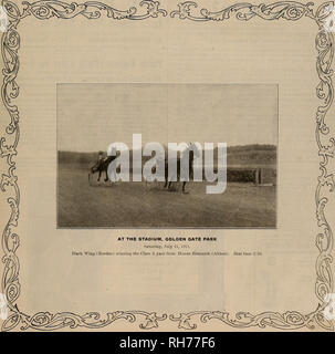 . Allevatore e sportivo. I cavalli. VOLUME LIX. No. 4. SAN FRANCISCO. Sabato 22 Luglio, 1911. Abbonamento-$3.00 per anno.. Si prega di notare che queste immagini vengono estratte dalla pagina sottoposta a scansione di immagini che possono essere state migliorate digitalmente per la leggibilità - Colorazione e aspetto di queste illustrazioni potrebbero non perfettamente assomigliano al lavoro originale. San Francisco, California. : [S. n. ] Foto Stock